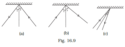 NCERT Exemplar Class 8 Science chapter 16 Solutions fig 12