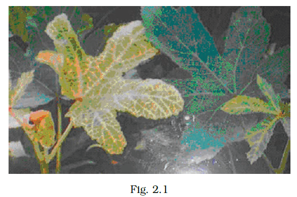 NCERT Exemplar Class 8 Science chapter 2 Solutions fig 1