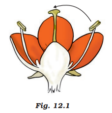 NCERT Exemplar Solutions Class 7 Science Chapter 12-sol-1
