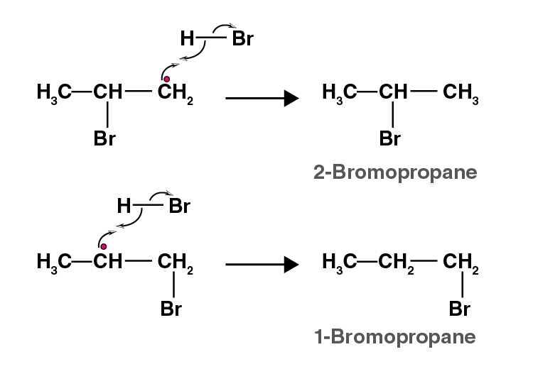 NCERT Exemplar Solutions of Class 11 Chemistry Chapter 13 Hydrocarbons-18