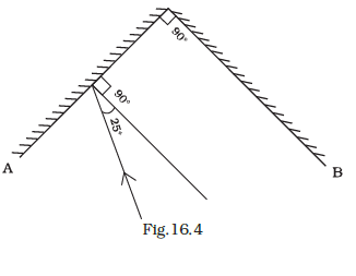 NCERT Exemplar Class 8 Science chapter 16 Solutions fig 4