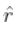 Physics Class 11 Chapter 4 - 45