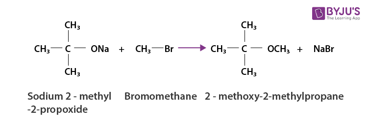 NCERT Solutions for Class 12 Chemistry Chapter 11 Alcohols, Phenols and Ethers Q 11.24(iii)