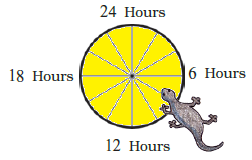NCERT Answers for Class 5 EVS Chapter 1 – Super Senses - image 3