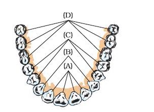 NCERT Exemplar Solutions Class 7 Science Chapter 2-sol-3