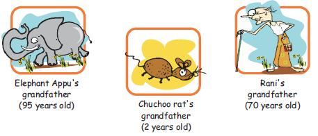 NCERT Solutions Mathematics Class 4 Chapter 4 - 13