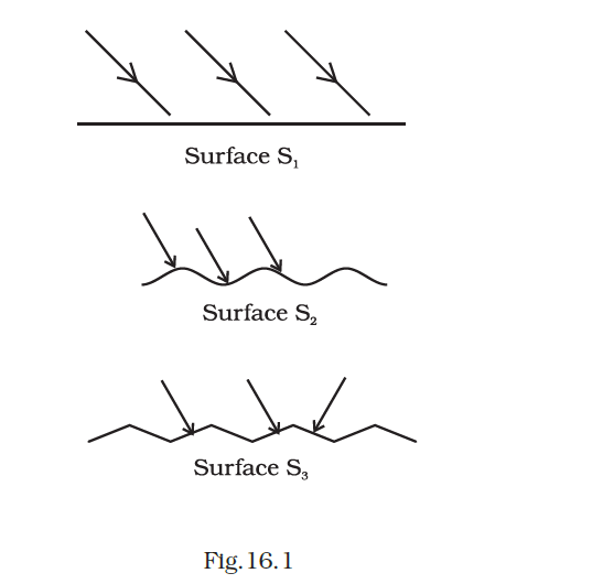 NCERT Exemplar Class 8 Science chapter 16 Solutions fig 1