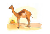 NCERT Solutions For Class 2 Maths Chapter 7 - 39