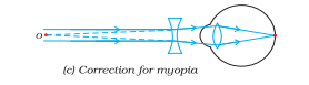 ncert solutions class 10 science chapter 11 human eye and colorful world fig 8