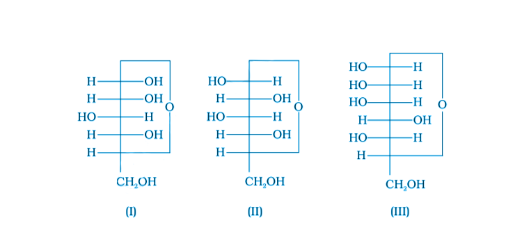 NCERT Exemplar Solutions of Class 12 Chemistry Chapter 14 Biomolecules-3