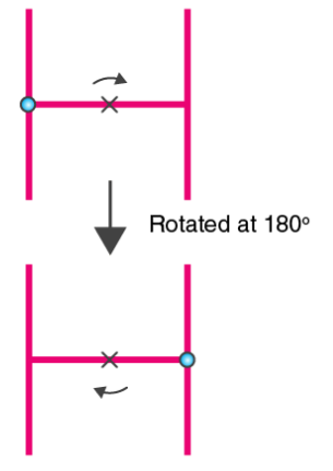 NCERT Solutions for Class 7 Maths Chapter 14 Symmetry Image 90