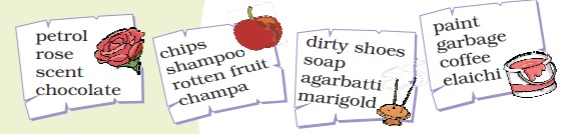 NCERT Solutions for Class 4 English Unit 2 Noses - Image 1