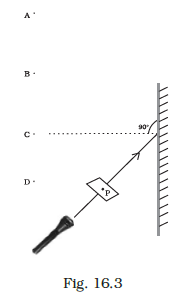 NCERT Exemplar Class 8 Science chapter 16 Solutions fig 3