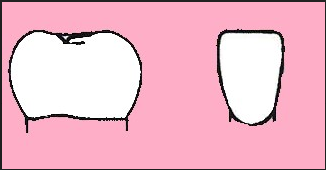 NCERT Solutions for Class 4 Chapter 16 Image 7