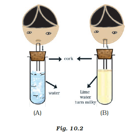 NCERT Exemplar Solutions Class 7 Science Chapter 10-sol-3