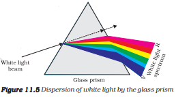 ncert solutions class 10 science chapter 11 human eye and colorful world fig 11
