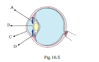 NCERT Exemplar Class 8 Science chapter 16 Solutions fig 5