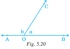 NCERT Exemplar Class 7 Maths Solutions Chapter 5 Image 13