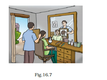NCERT Exemplar Class 8 Science chapter 16 Solutions fig 8