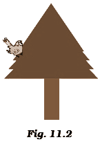 seo images