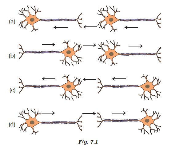 electrical impulses