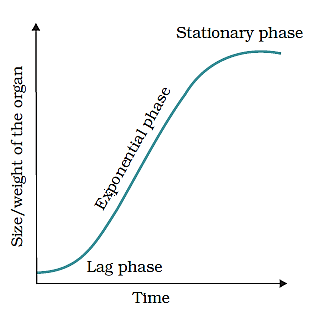 geometric rate