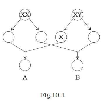 NCERT Exemplar Class 8 Science chapter 10 Solutions fig 2