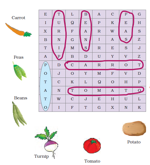 NCERT Solutions Class 3 English Unit 3 The Enormous Turnip - 6