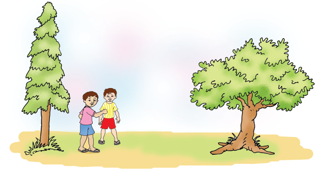 NCERT Solutions Class 1 Maths Chapter 7 Measurement - 42