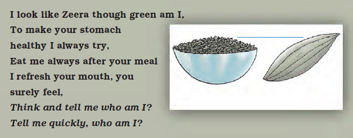 NCERT Solutions Class 4 EVS Chapter 25 - 5