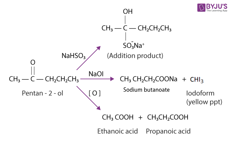 NCERT Solutions for Class 12 Chemistry Chapter 12 Aldehydes, Ketones and Carboxylic Acids Question 19 image 2