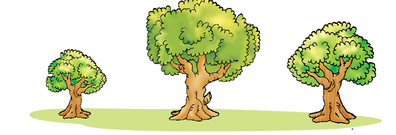 NCERT Solutions Class 1 Maths Unit 1 Shapes and Space - 7