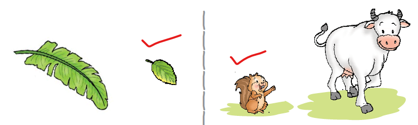 NCERT Solutions Class 1 Maths Unit 1 Shapes and Space - 4