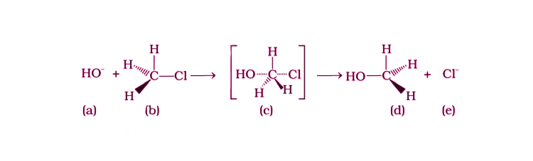 NCERT Exemplar Solutions of Class 12 Chemistry Chapter 10 Haloalkanes and Haloarenes-19