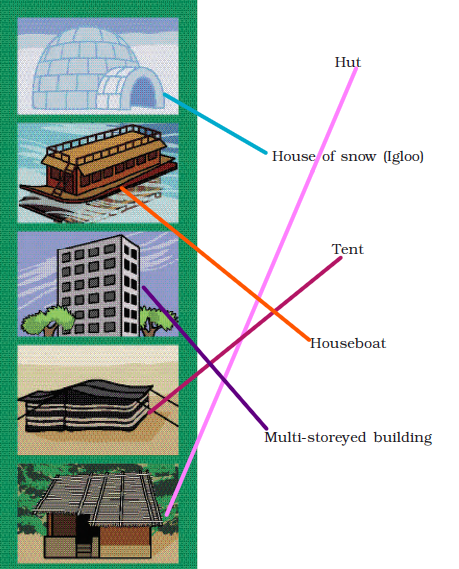 NCERT Solutions Class 3 EVS Chapter 18 - 1 