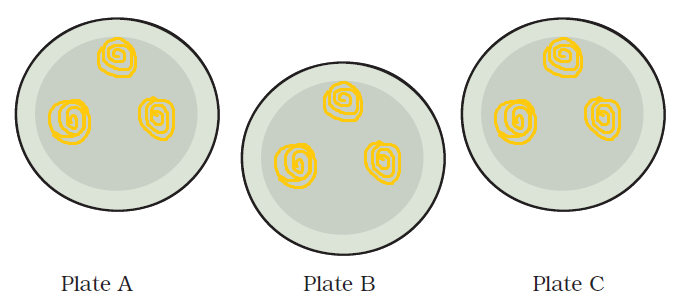 Class 3 Maths Chapter 12 - 3