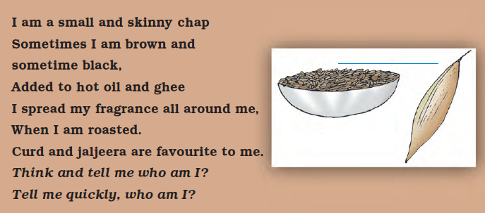 NCERT Solutions Class 4 EVS Chapter 25 - 4