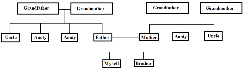 NCERT Solutions Class 4 EVS Chapter 9 - 3