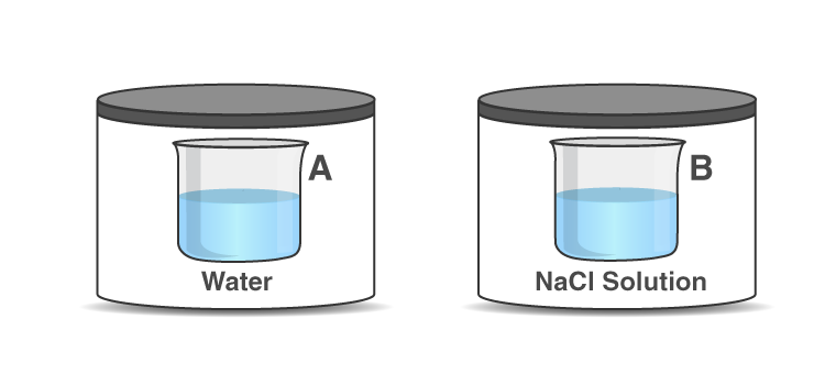 NCERT Exemplar Solutions of Class 12 Chemistry Chapter 2 Solutions-2