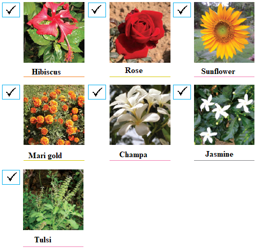 NCERT Solutions Class 4 EVS Chapter 11 - 2