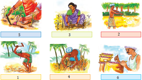 NCERT Solutions for Class 4 Chapter 14 Image 7
