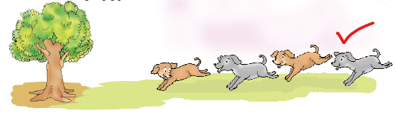 NCERT Solutions Class 1 Maths Unit 1 Shapes and Space - 24