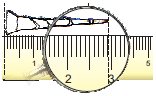 NCERT Solutions for Class 5 Chapter 10 Image 5
