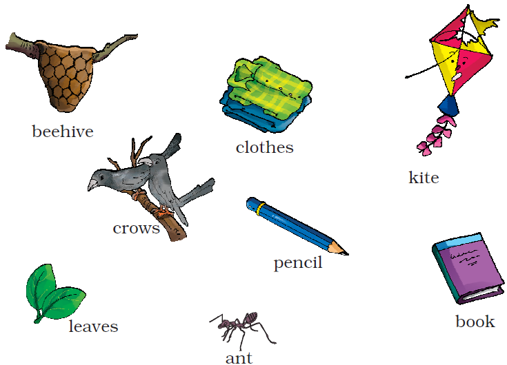 NCERT Solutions Class 1 English Unit 6 Our Tree - 1