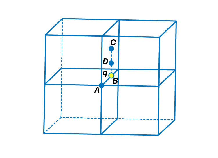 Exemplar Solutions Physics Class 12 Chapter 1 - 13