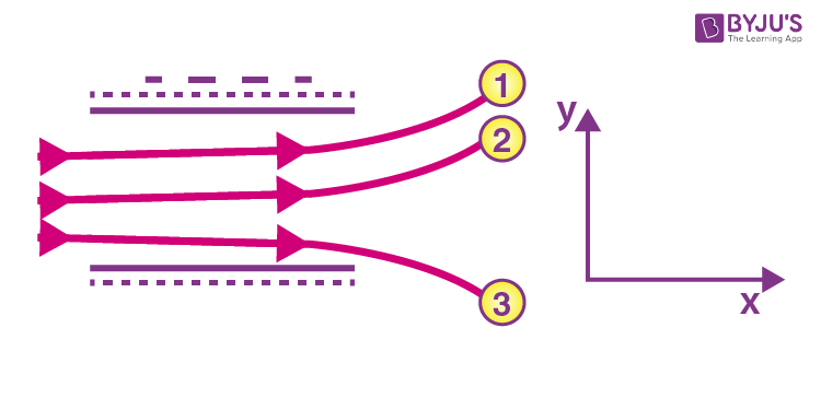 NCERT Solutions for Class 12 Physics Chapter 1 Electric Charges and Fields Question 33