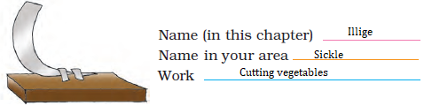 NCERT Solutions for Class 4 Chapter 14 Image 5