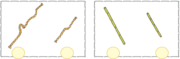 NCERT Solutions Class 1 Maths Chapter 7 Measurement - 3