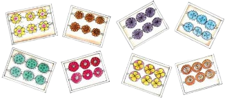 8 packets of rakhis