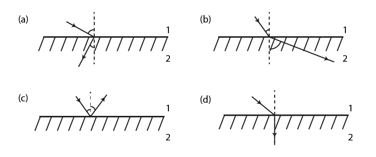 Exemplar Solutions Class 12 Physics Chapter 9 - 3
